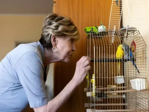 Avian Home Health