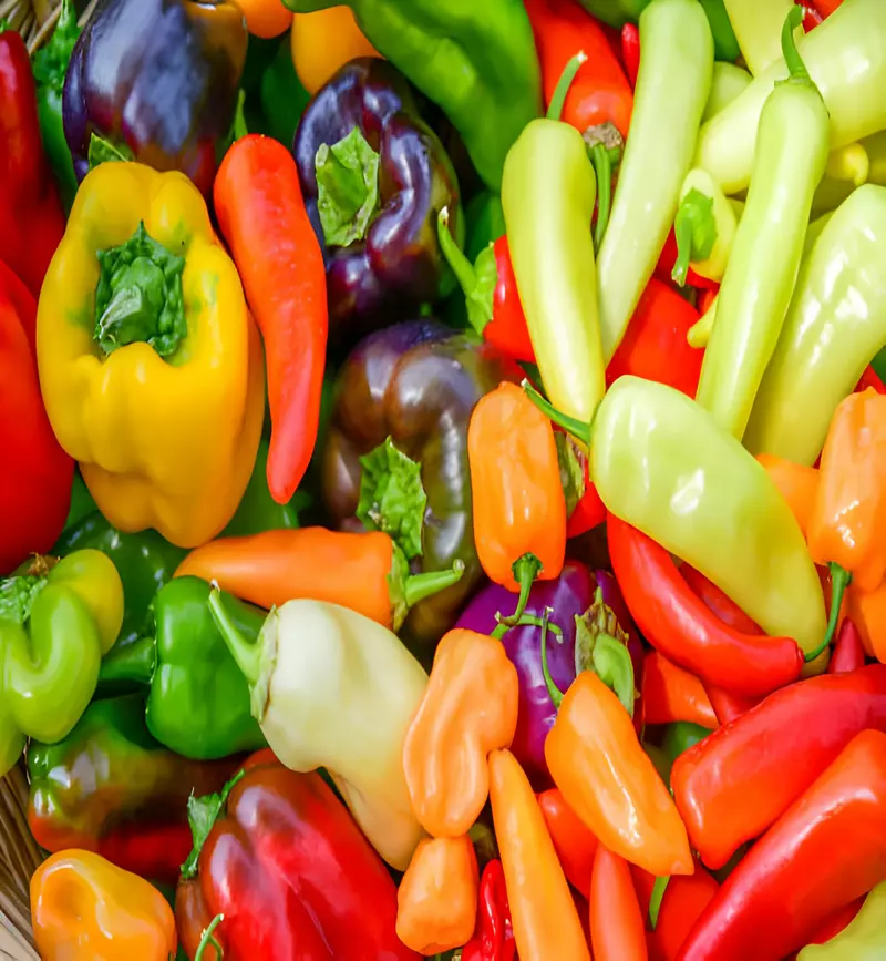 The Surprising Health Benefits of Banana Peppers You Need A platform