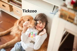 what happened to tickzoo