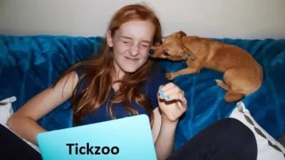 what happened to tickzoo