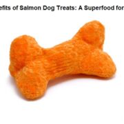 Salmon Dog Treats