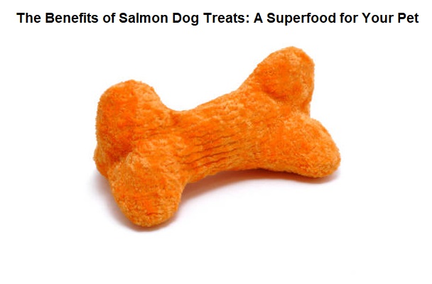 Salmon Dog Treats