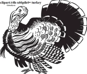 clipart:t4h-x66pih4= turkey