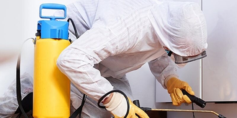 Fumigation Services