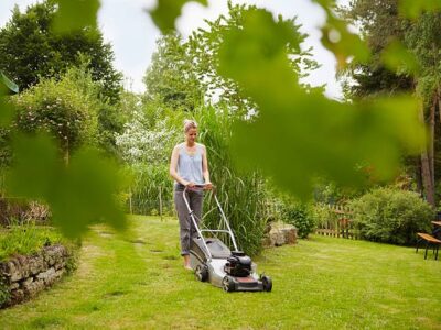 Lawn Slit Seeding