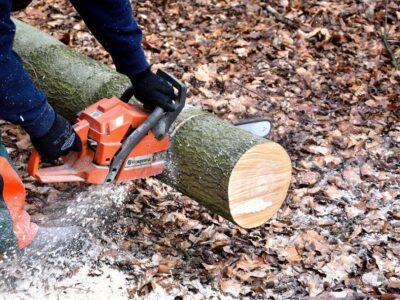 Essential Chainsaw