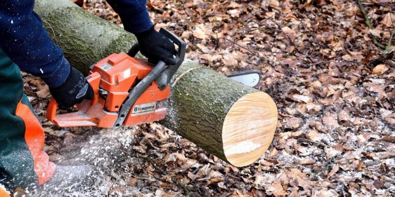 Essential Chainsaw