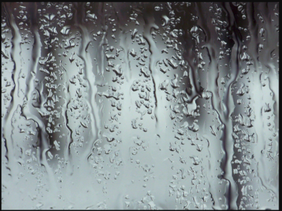 Glass Shower Door