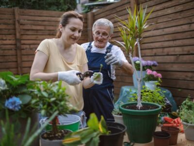 NDIS Funding