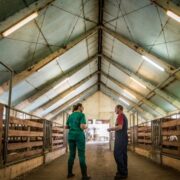 Farm Sheds