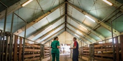 Farm Sheds