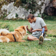 Dog Bite Injury