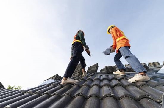 Roof Maintenance