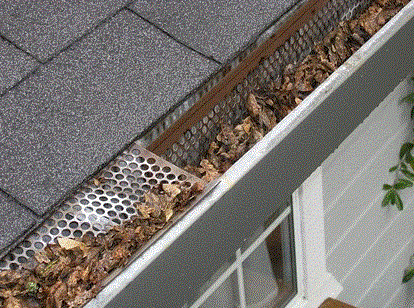 Gutter Leaf Guards