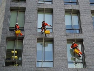 Window Cleaning Service